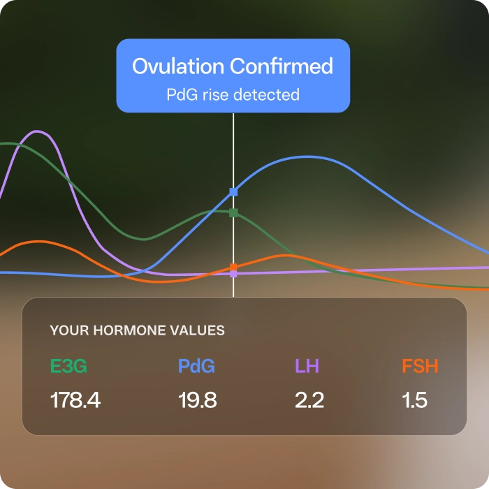 Lifestyle change 3 – ovulation tracking