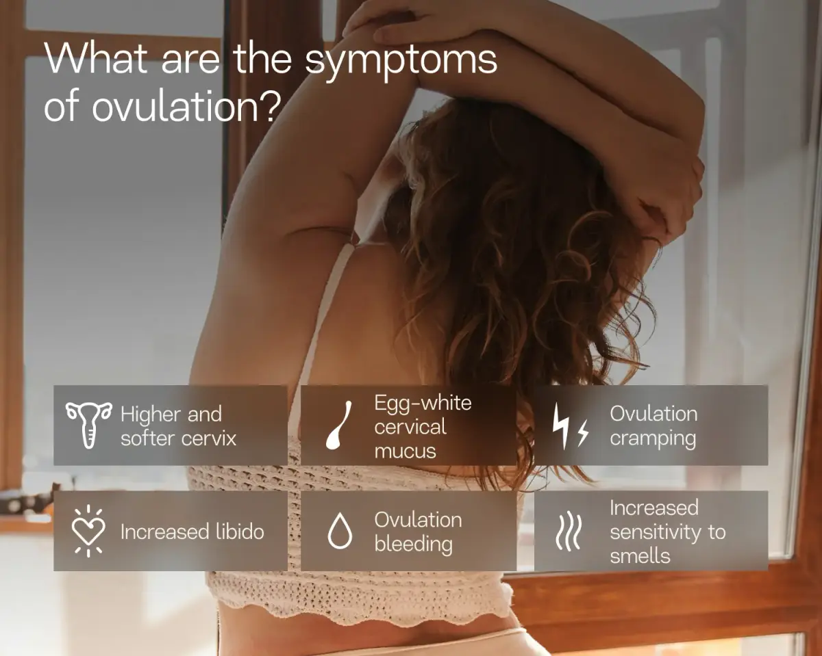 What are the symptoms of ovulation?