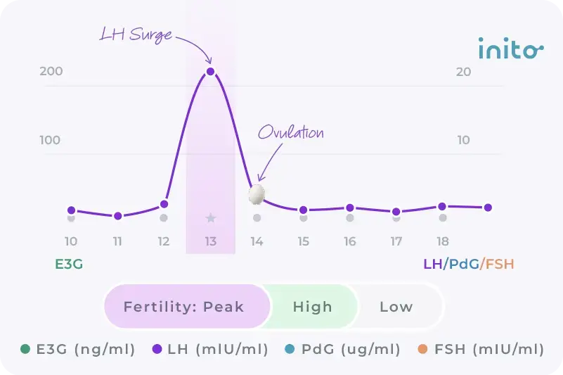 LH Surge and Ovulation: When Do You Ovulate After an LH Surge?