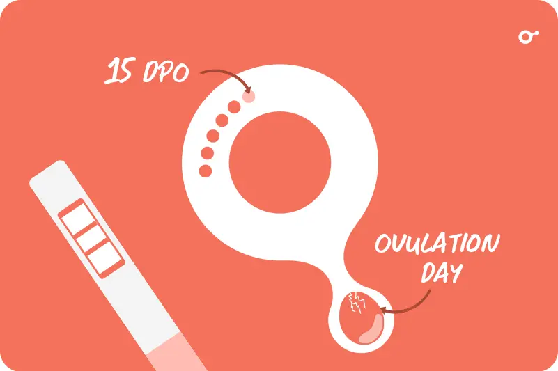 15 DPO is Your Period Considered Late