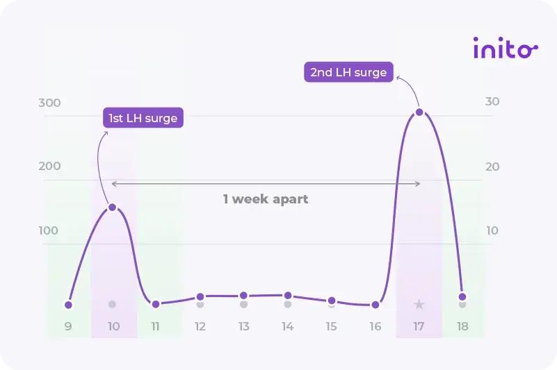 Two LH surges in 7 days