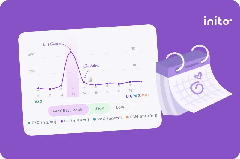 When to have sex after lh surge