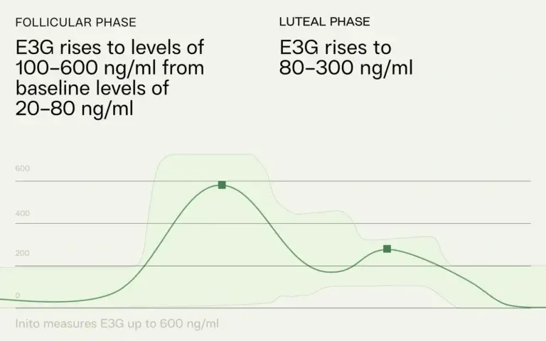  E3G reference range in follicular and luteal phase with baseline range levels