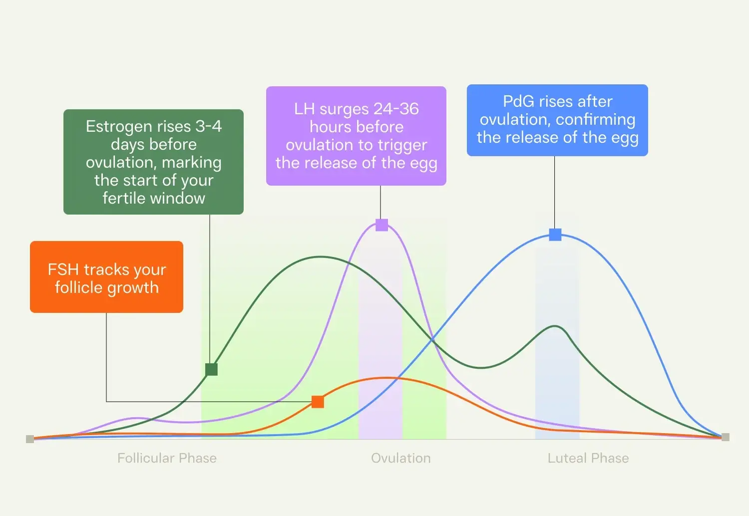 Inito chart showing the role of key fertility hormones during follicular and luteal phase