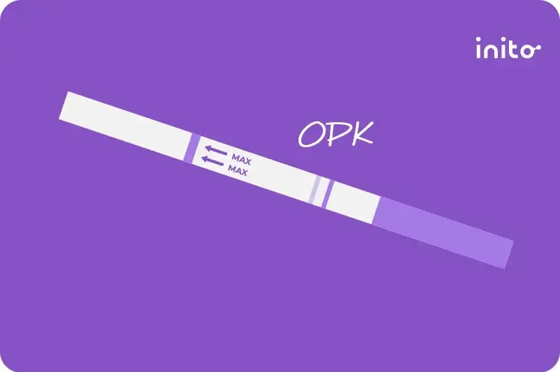 What Does a Faint Line on an Ovulation Test Mean?