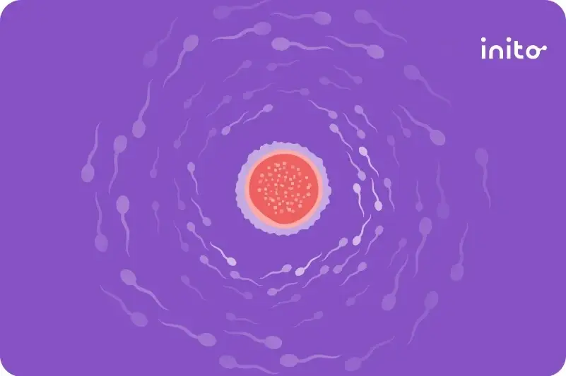 how to confirm whether sperm went inside