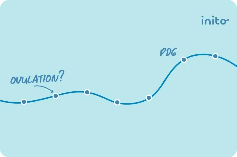 progesterone levels after ovulation