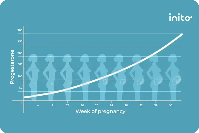 Progesterone Levels by Week: What's Normal During Pregnancy?