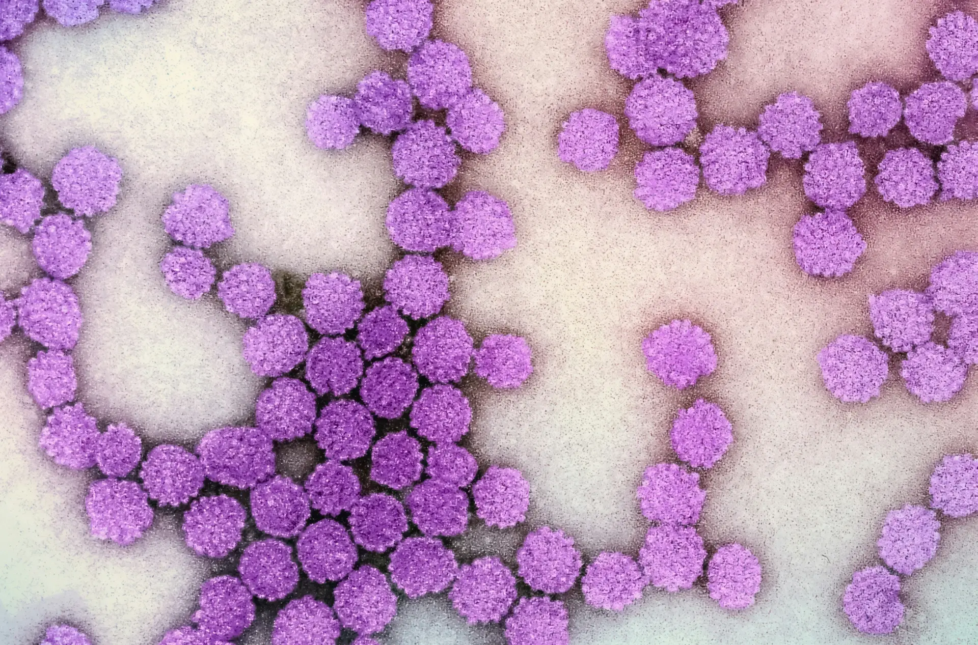 hpv and pregnancy