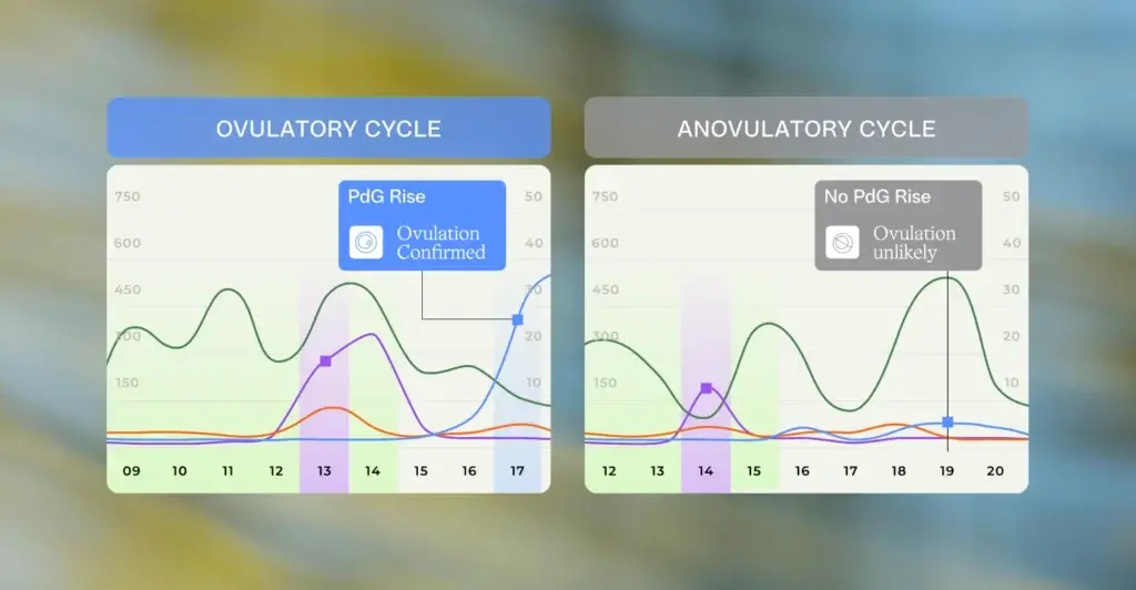 Ovulatory vs anovulatory cycle comparison