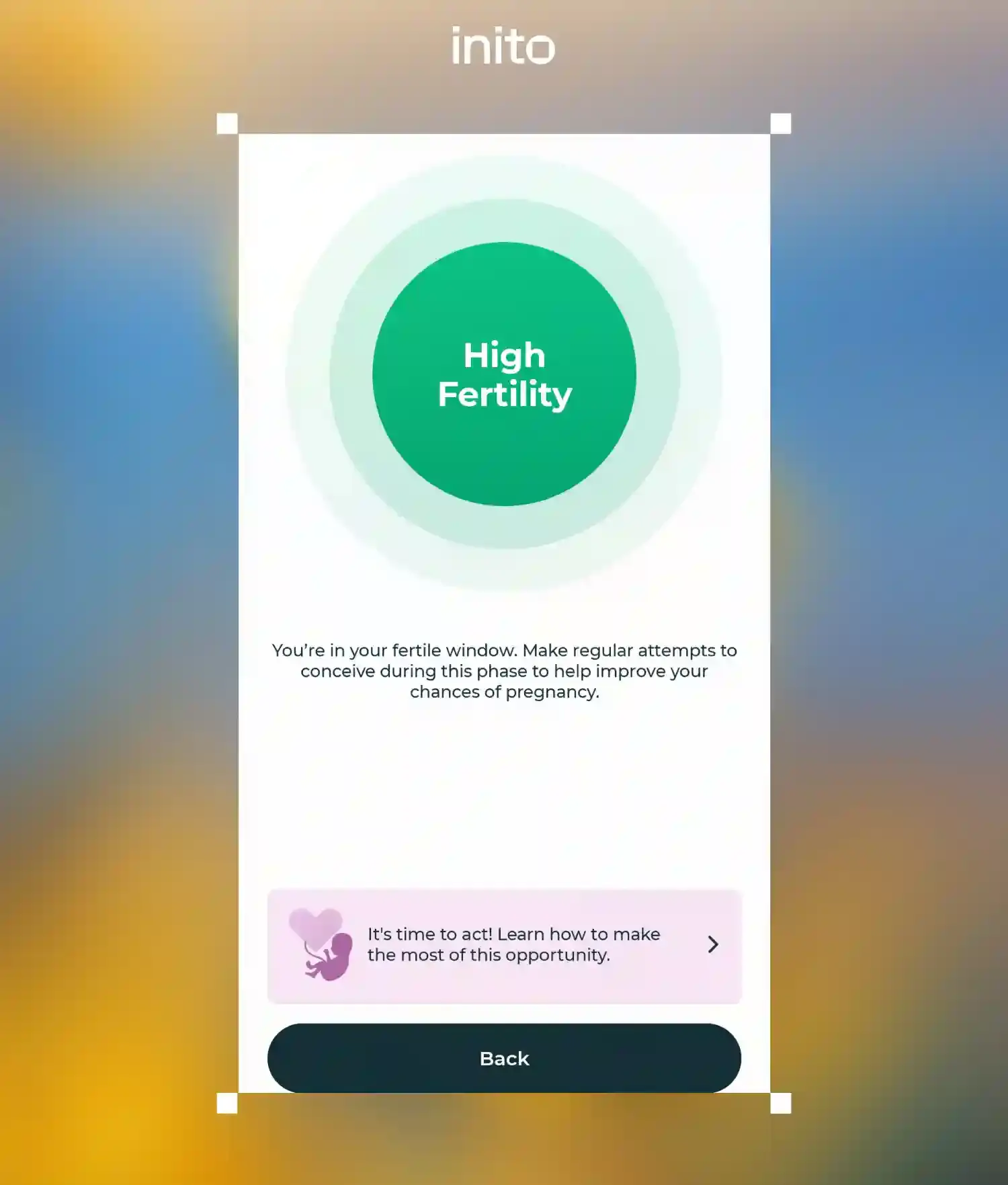 High Fertility