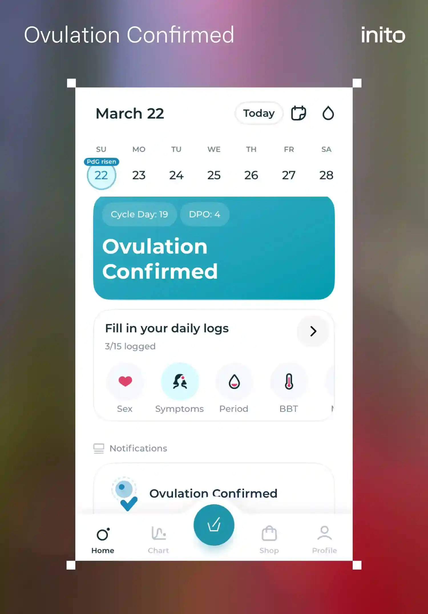 Ovulation Confirmed 