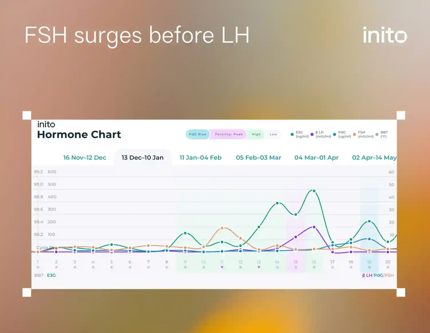 FSH surges before LH