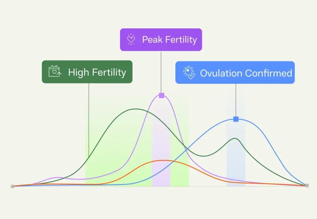 Hormone chart showing high fertility, peak fertility, and confirmed ovulation across changing hormone levels
