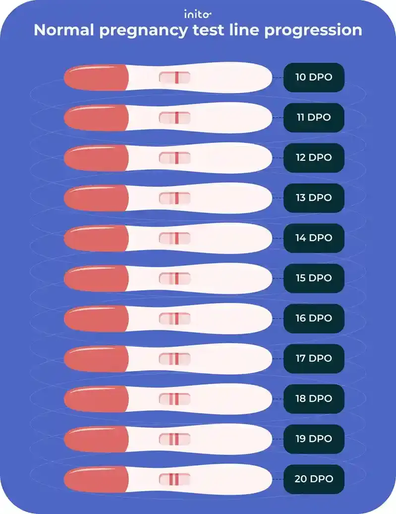 Normal pregnancy test line progression