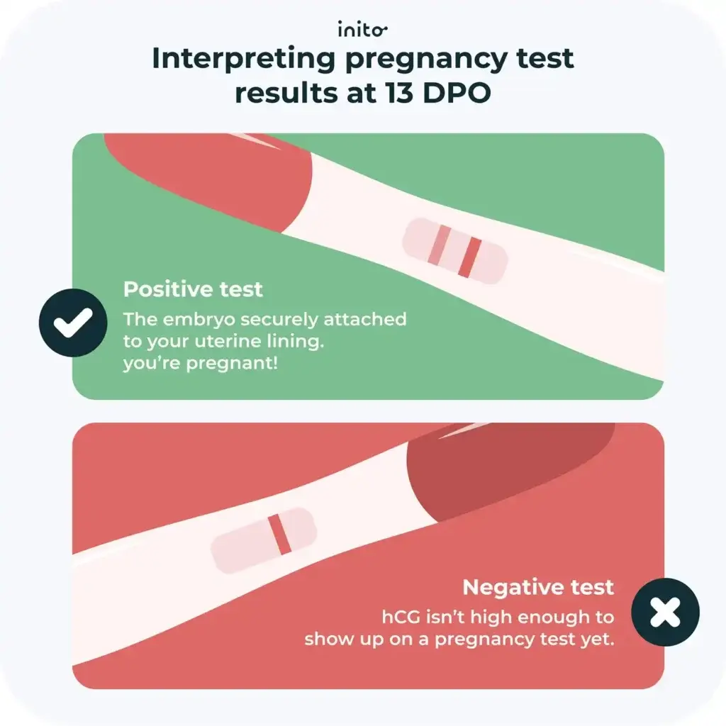 Pregnancy test results at 13 DPO