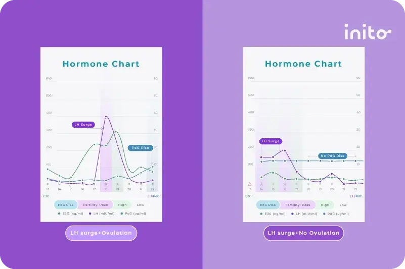Hormone charts LH surge + ovulation vs. LH surge + no ovulation