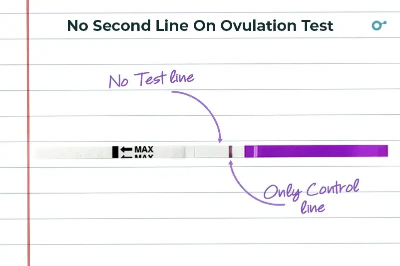 No test line on ovulation test