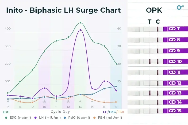 Biphasic LH surge chart