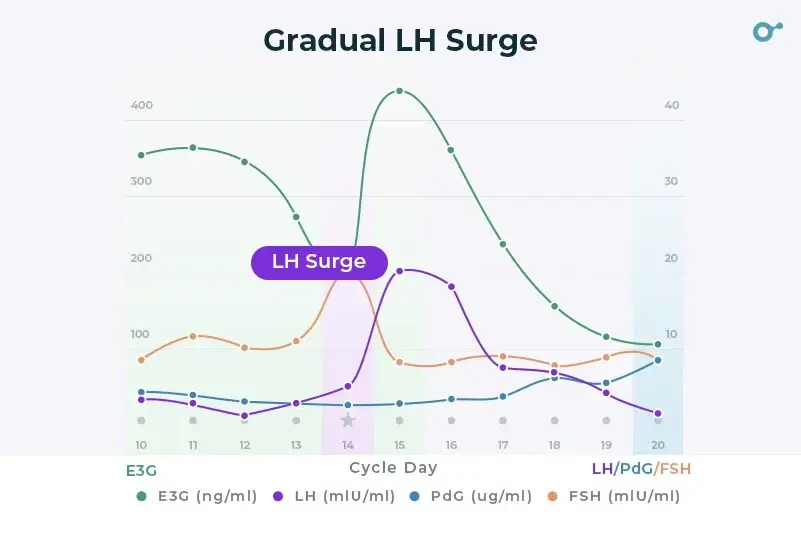 Gradual LH surge