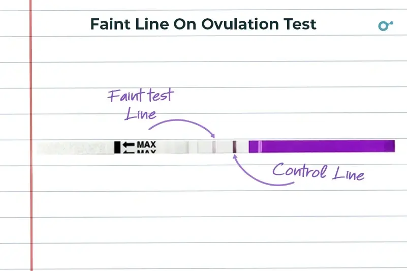 Faint line on ovulation test