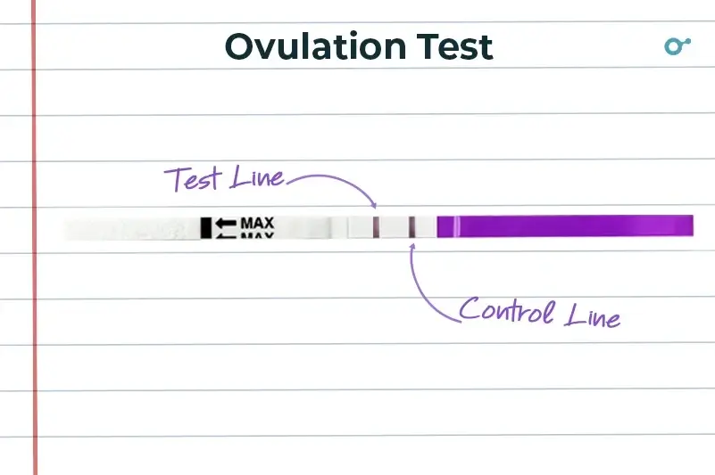 Reading ovulation tests