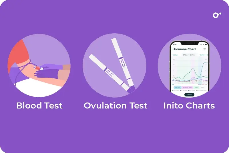 Options for testing LH levels