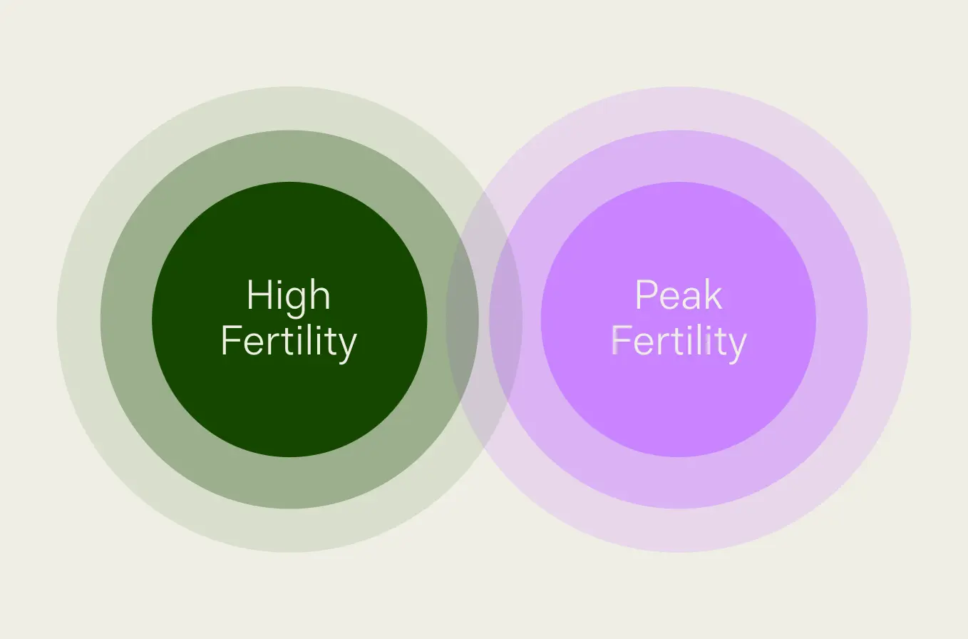 Inito_Blog_2023_High-Fertility-vs-Peak-fertility_Nov