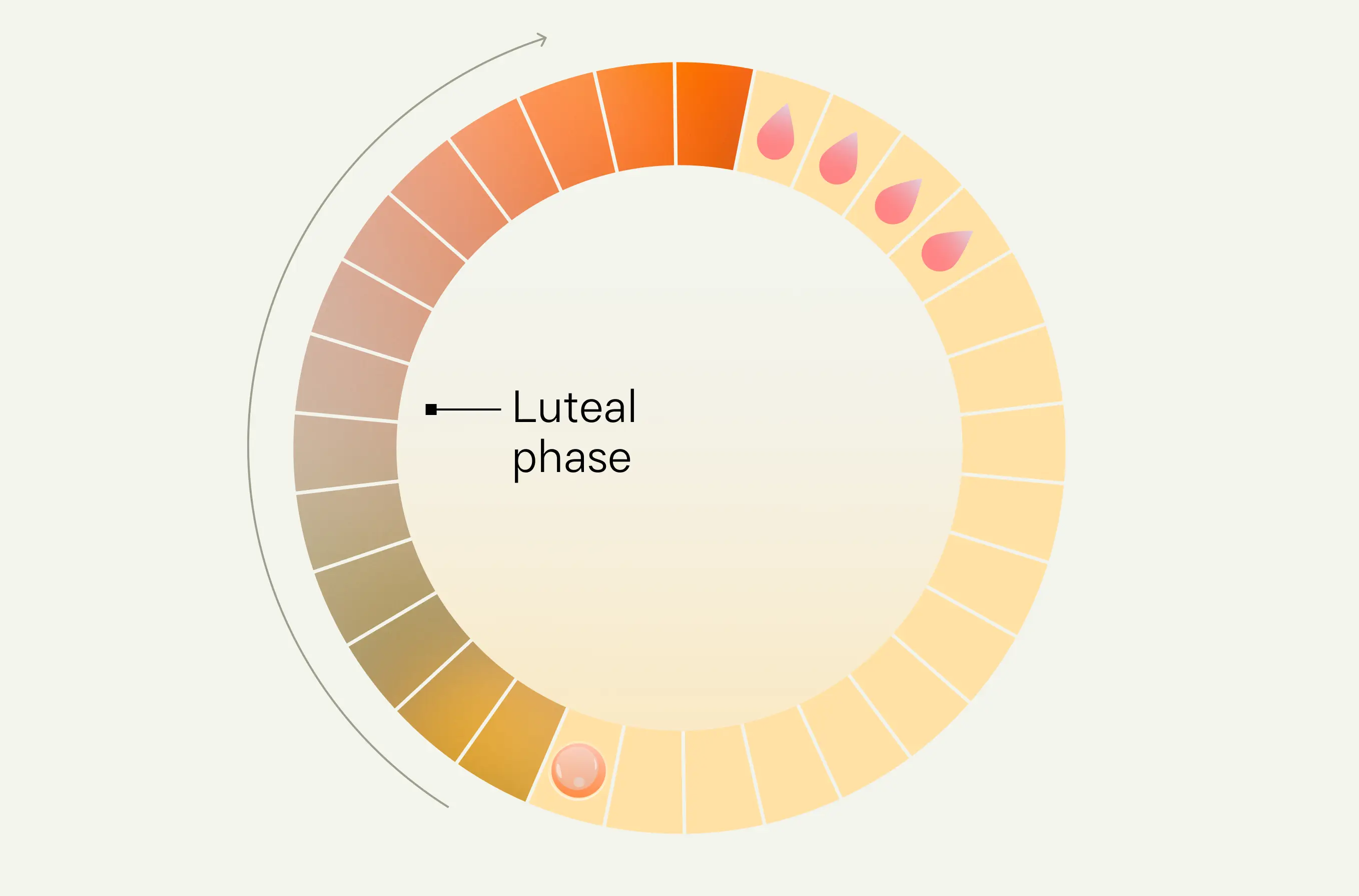 lengthen the luteal phase